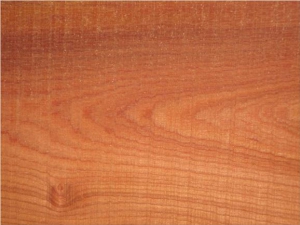 Các đặc tính của gỗ tự nhiên